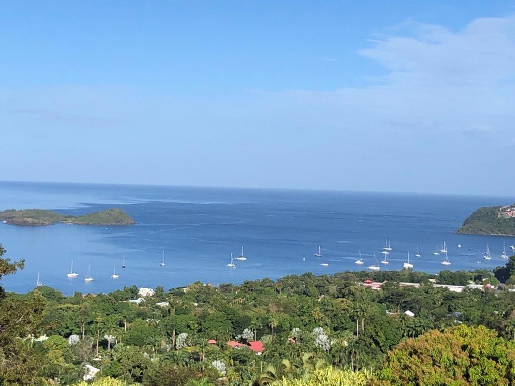 Вилла Calypso Bay Буйант Экстерьер фото
